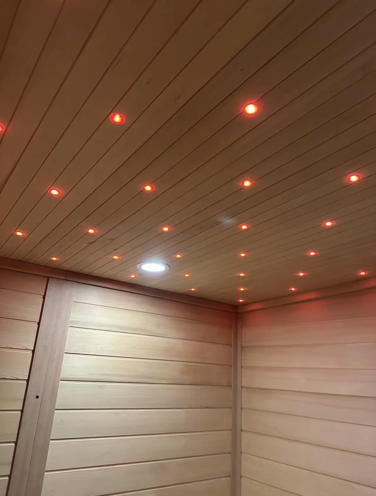 Interior ceiling of the Vantis Phoenix with the chromotherapy point array lit in red over hemlock paneling